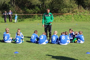 开云网页版登录入口-五大联赛是否提升边路轮换参与战术决策比重，五大联赛可以换5人