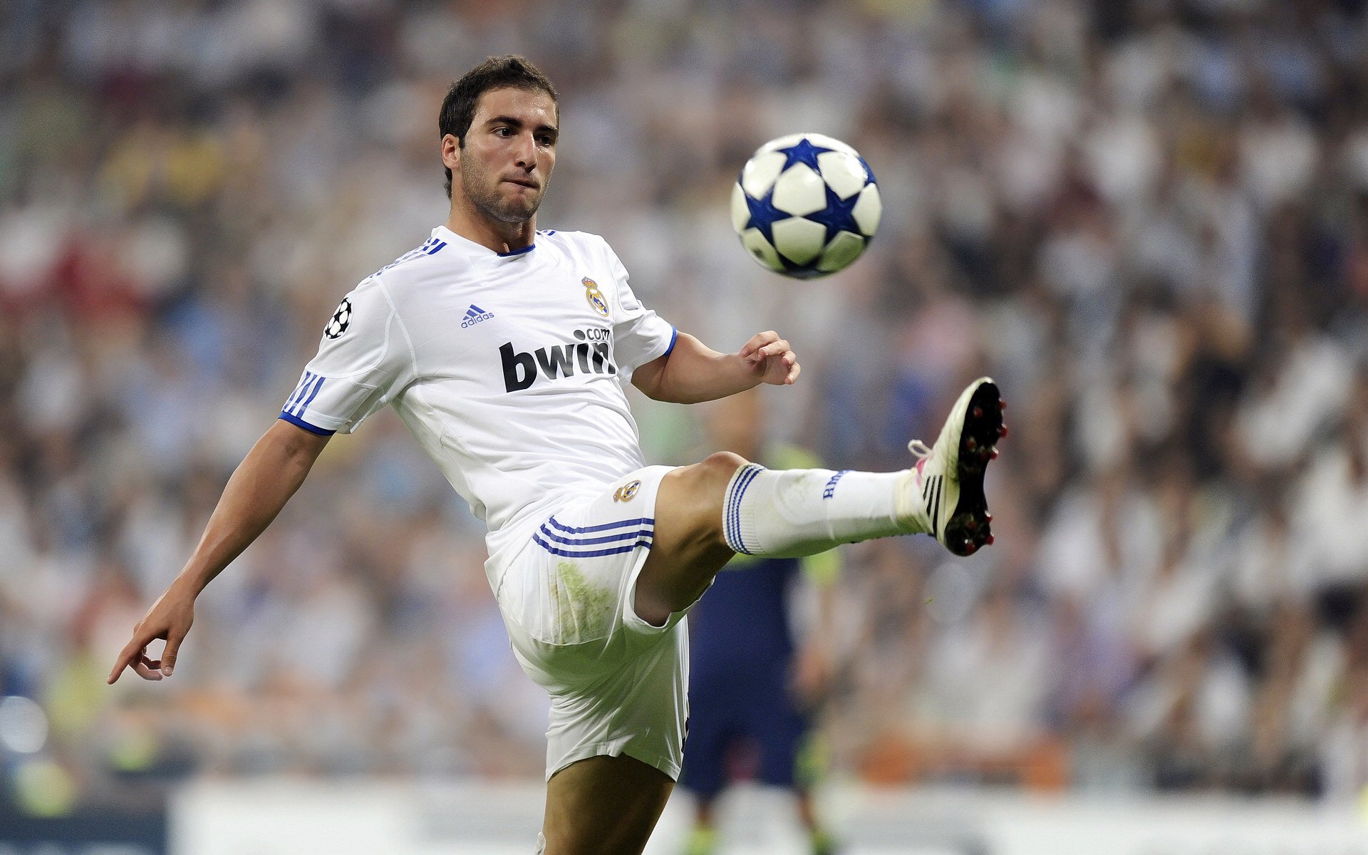 伯科夫冲线瞬间引爆现场气氛,博布科夫