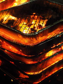 开云·体育官网-森林狼主场布景焕然一新增强品牌识别度，森林狼logo