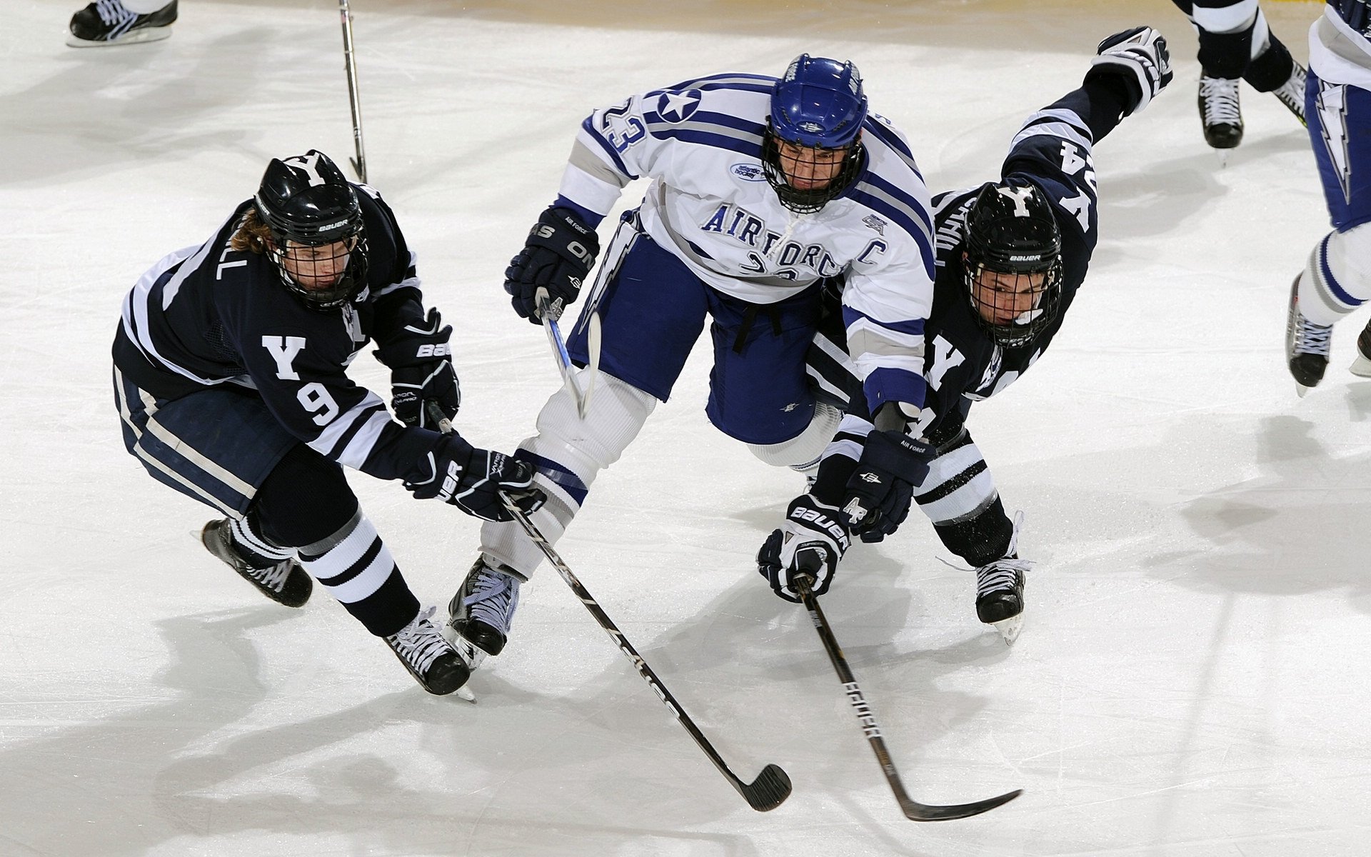 kaiyun登录入口-雷霆举办“篮球科技创新论坛”，聚焦未来发展，专业篮球论坛